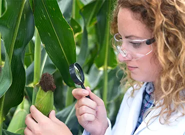 الدراسات البيئية وعلوم الأرض